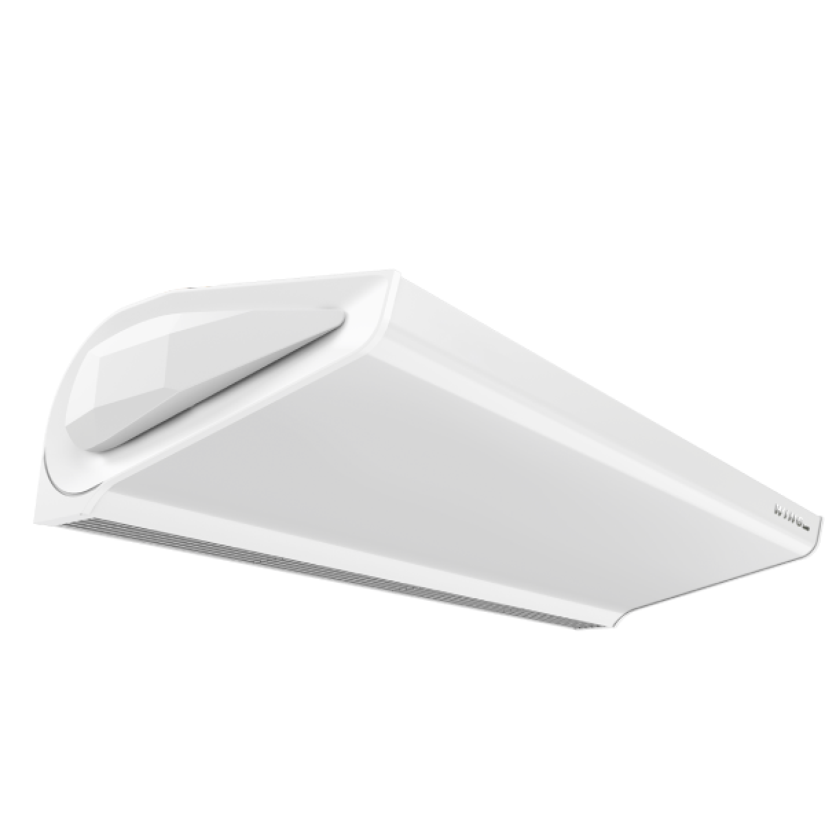 Wing II C100 АС